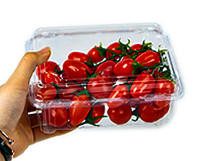 Meyve Kabı ve Viyöller