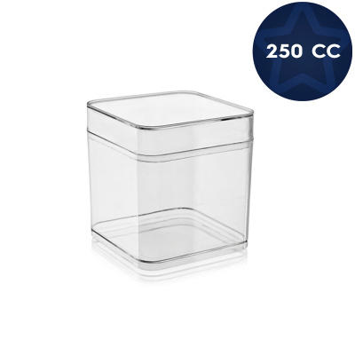 Kristal Plastik Kare Prizma Tatlı Kasesi (Kapaklı) 250 cc - 1