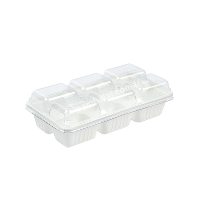 Plastik 6 Bölmeli Dondurma Kabı Seti (Kapaklı) 1000 gr - 1