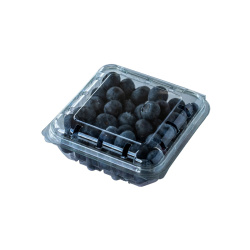 Plastik Kapaklı Meyve (Şale) Kabı 150 gr - Limera