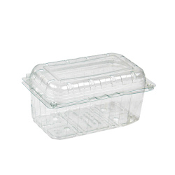 Plastik Kapaklı Meyve (Şale) Kabı 500 gr - Limera