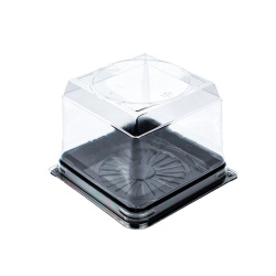 Plastik Kare Dilim Pasta ve Kek Kabı Seti 12x12 H:9 cm - Özge Plastik