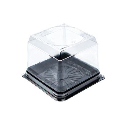 Plastik Kare Dilim Pasta ve Kek Kabı Seti 12x12 H:9 cm - 1