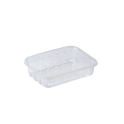Plastik Şarküteri Kasesi PP 250 cc - Eltron Plastik