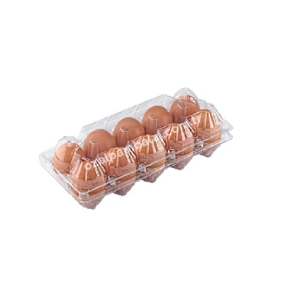Plastik Yumurta Viyolu (Kabı) 10 Lu - 1