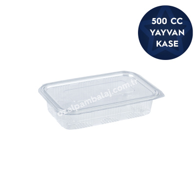 Sızdırmaz Gıda Kabı Yayvan 500 cc (15gr) - 1